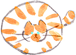 パソコン用の画像