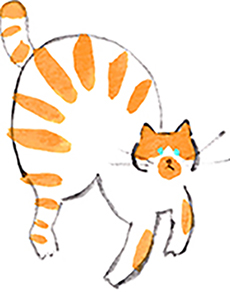 パソコン用の画像