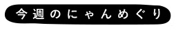 今週のにゃんめぐり